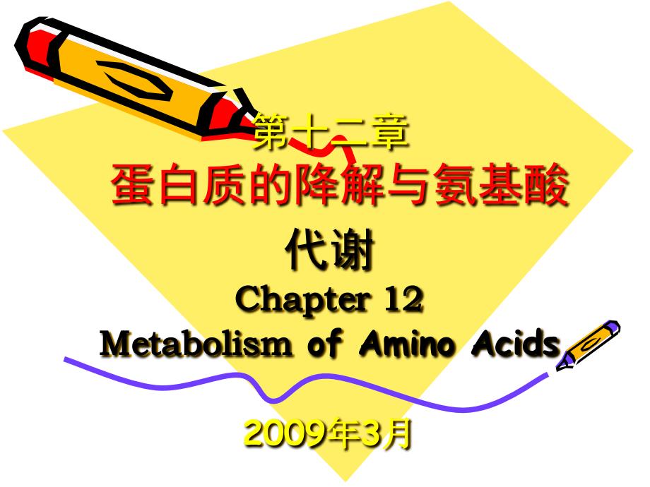 蛋白质的降解与氨基酸代谢(主) metabolism of amino acids_第1页