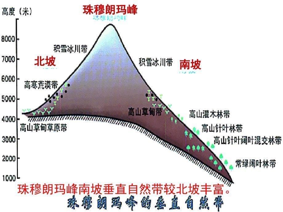 垂直地域分异和非地带性_第5页