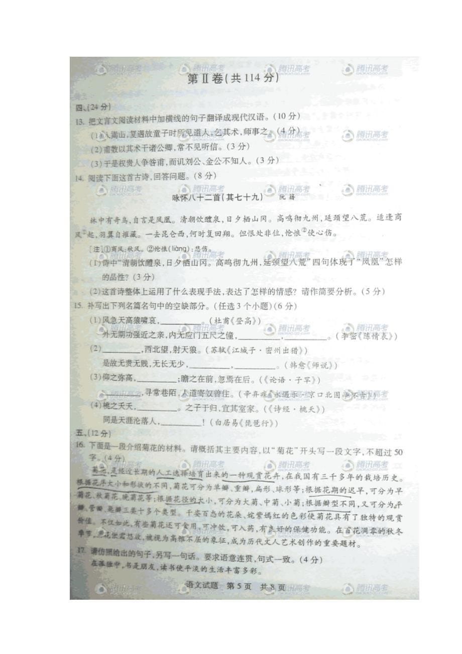 2010山东卷高考真题语文卷(没有答案)_第5页