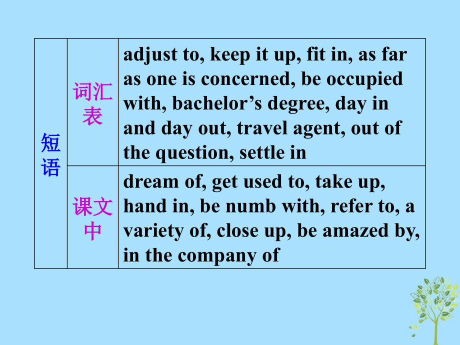 高中英语复习 unit 5 travelling abroad课件 新人教版选修7_第3页