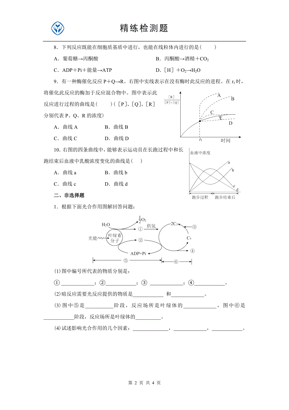 生物必修一 第5章  细胞的能量供应和利用_第2页