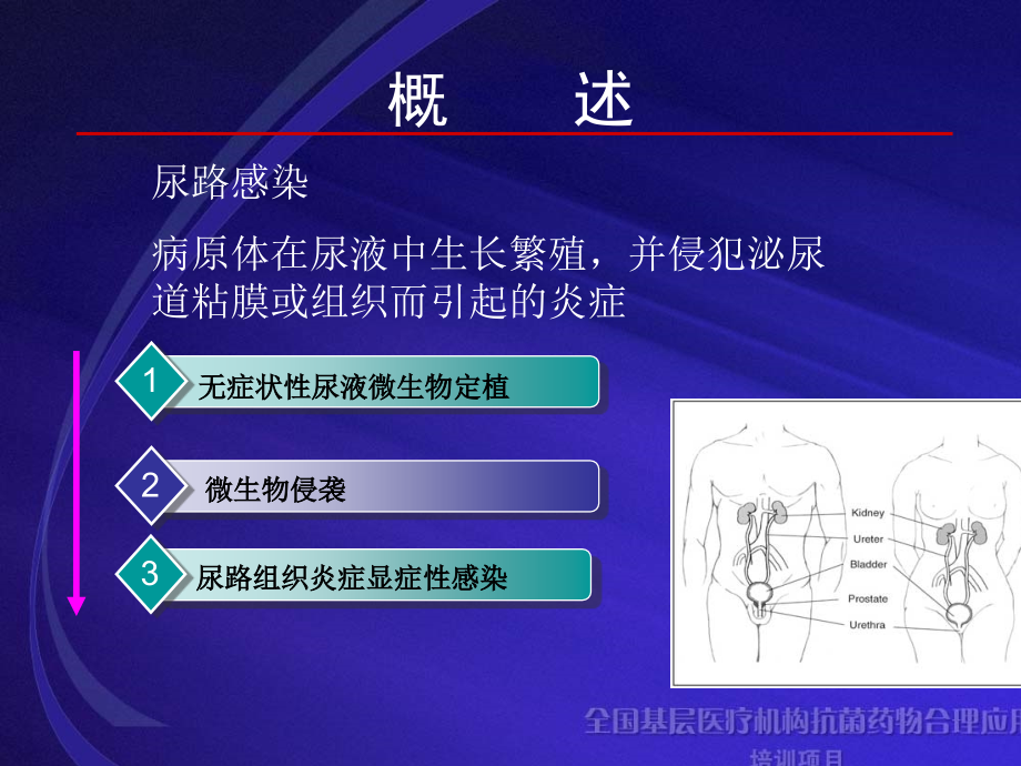 泌尿外科感染_第4页