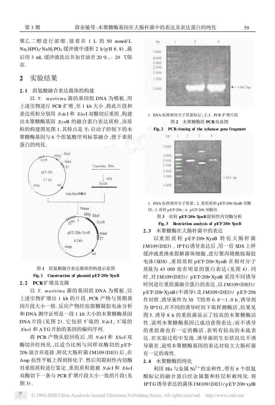 木聚糖酶基因在大肠杆菌中的表达及表达蛋白的纯化_第3页