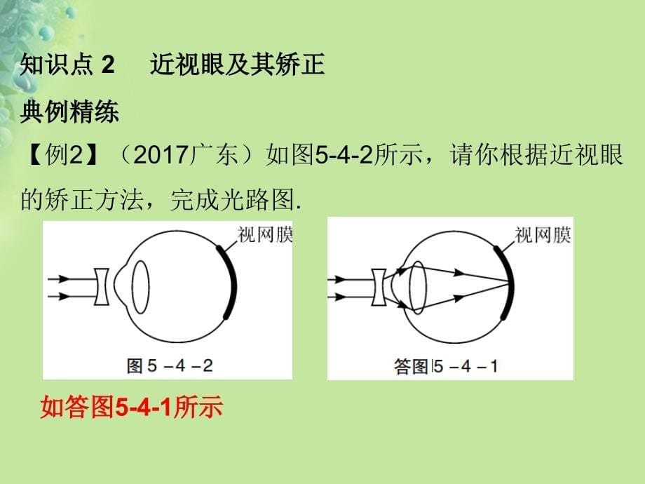 2018年八年级物理上册 第五章 第4节 眼睛和眼镜习题课件 （新版）新人教版_第5页