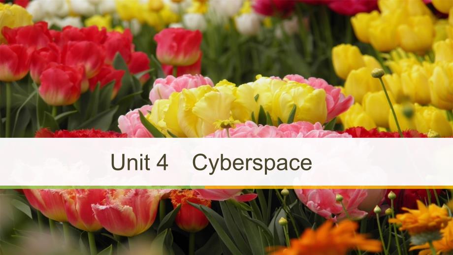 2018-2019版高中英语 unit 4 cyberspace vocabulary breakthrough课件 北师大版必修2_第1页