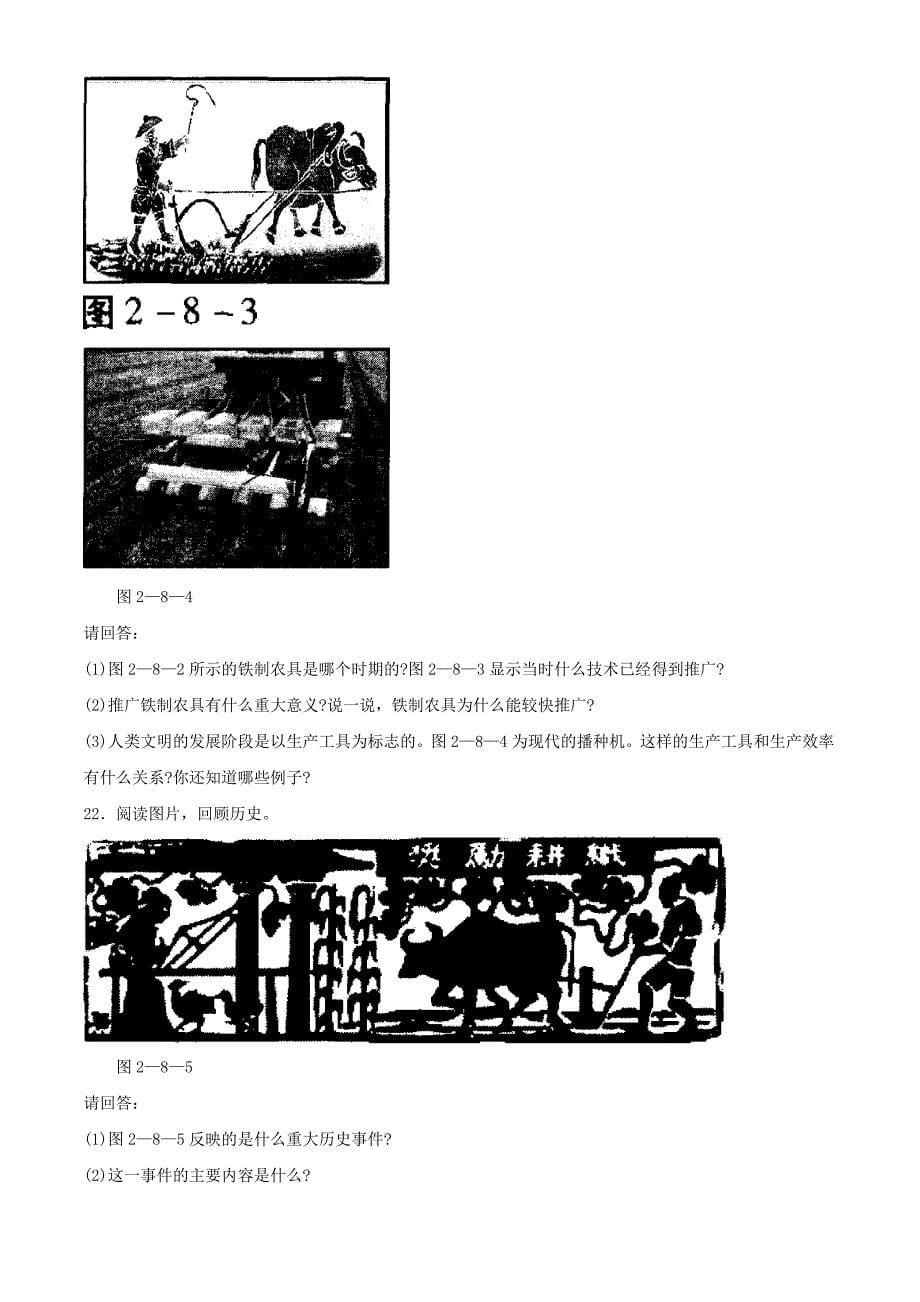 历史：北师大版七年级上册 2.8《铁器牛耕引发的社会变革》同步测试(1)_第5页