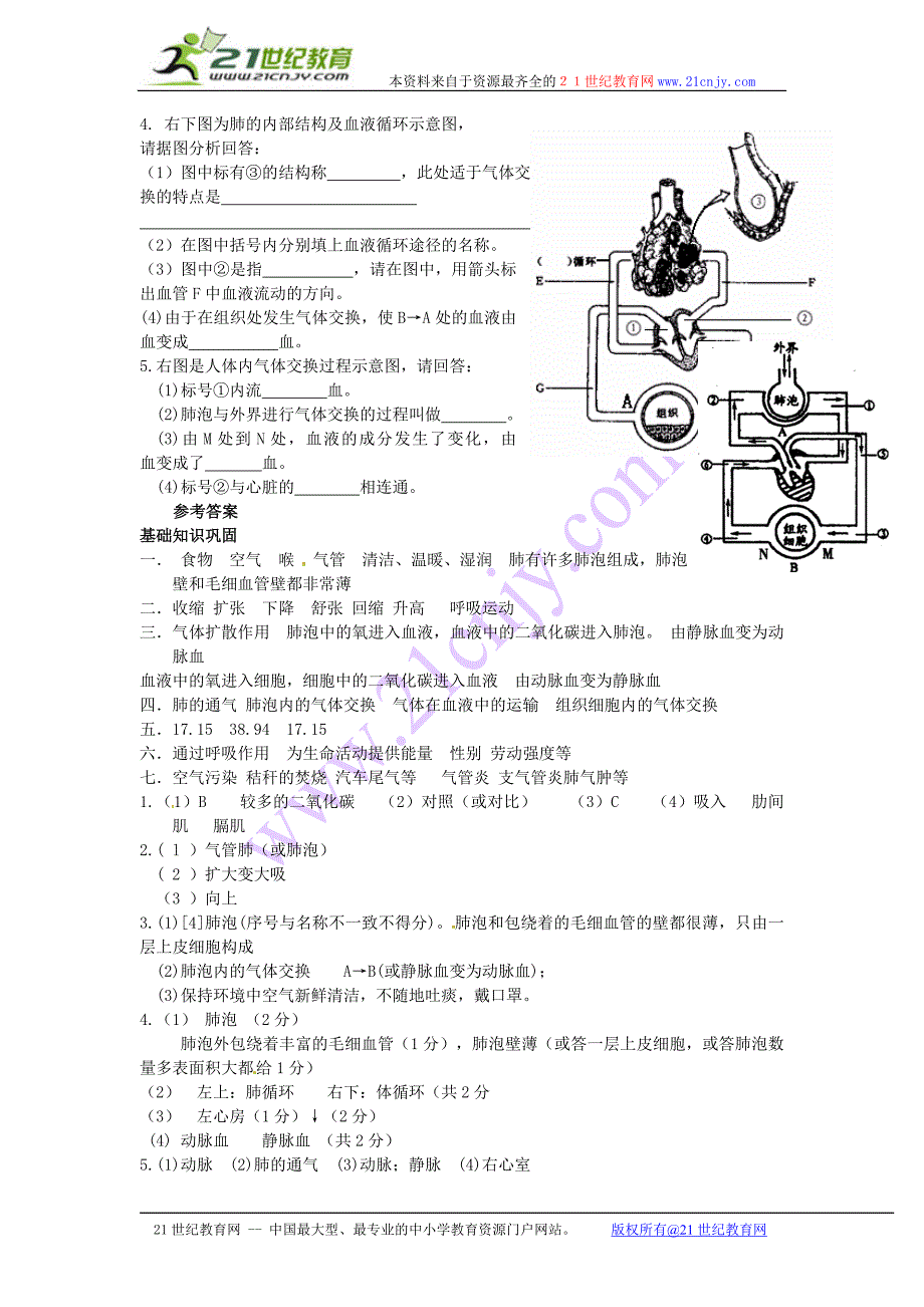 2011年中考生物一轮复习 人的生活需要空气_第4页