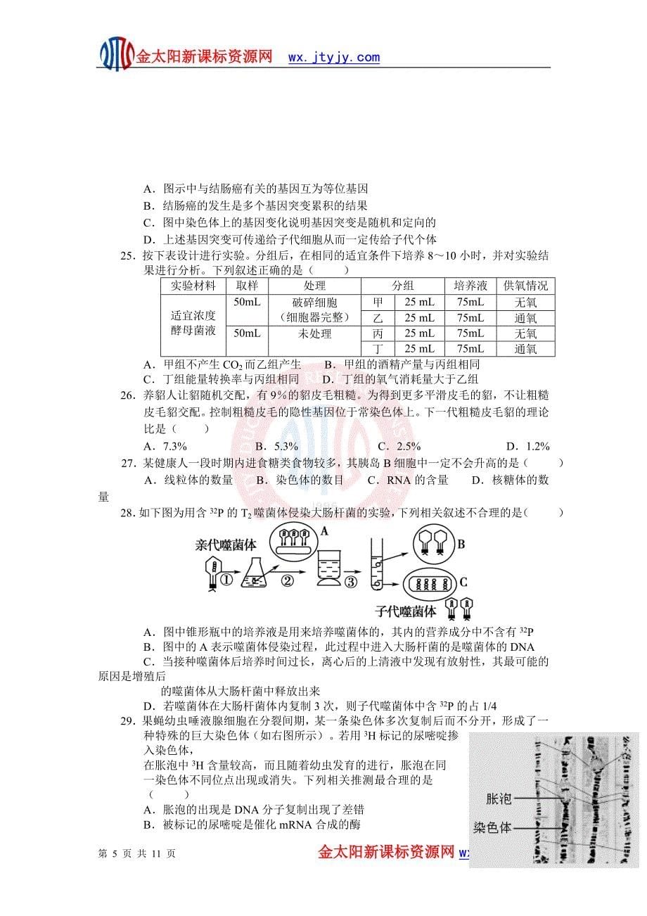 湖南省长沙市同升湖实验学校2012届高三第七次月考生物试题_第5页