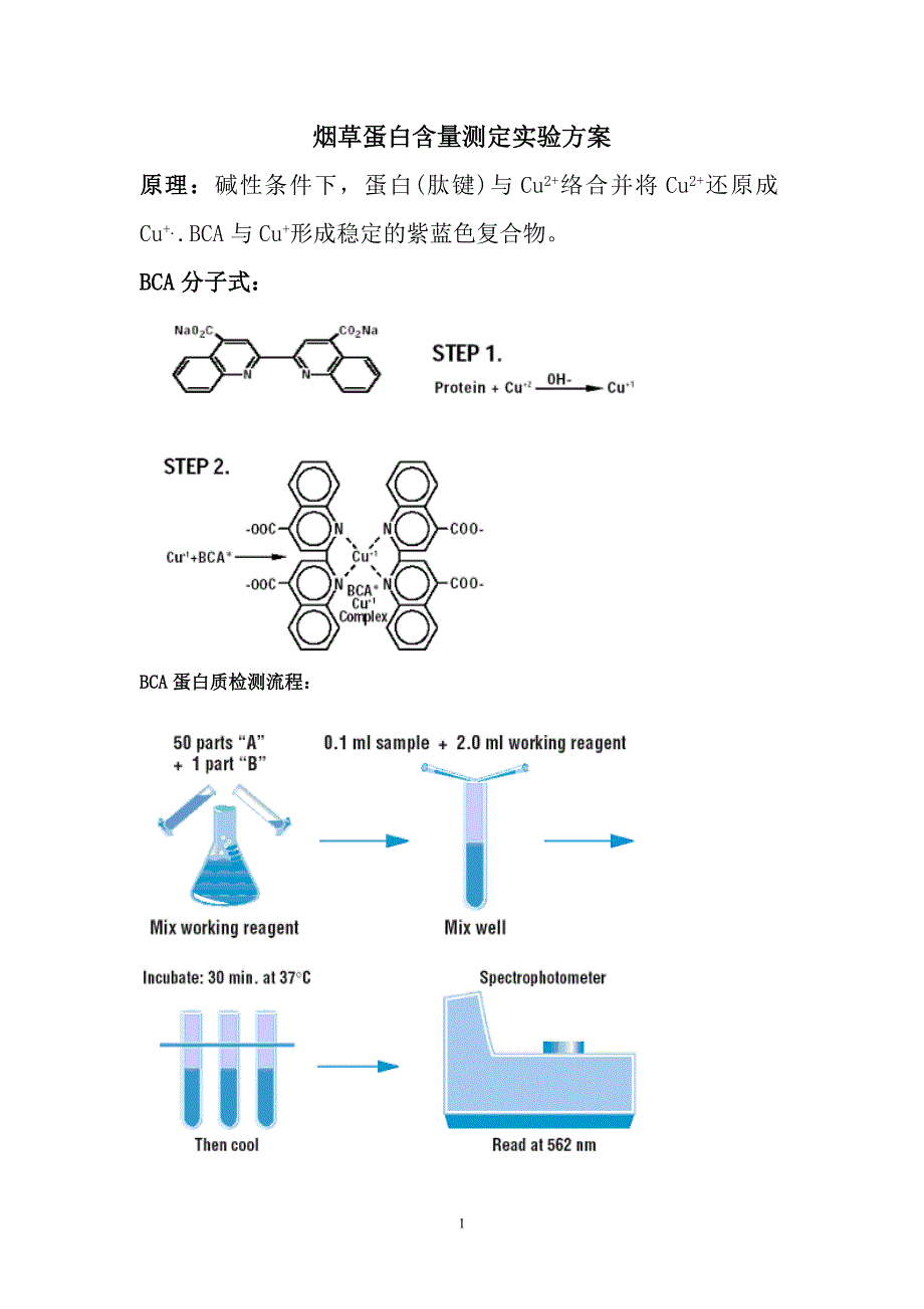 蛋白测定 实验设计_第1页