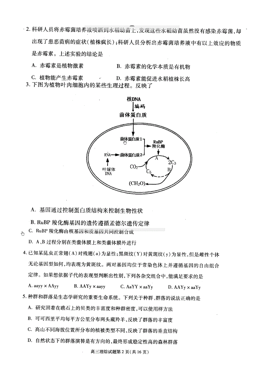 2012合肥三模理综卷_第2页