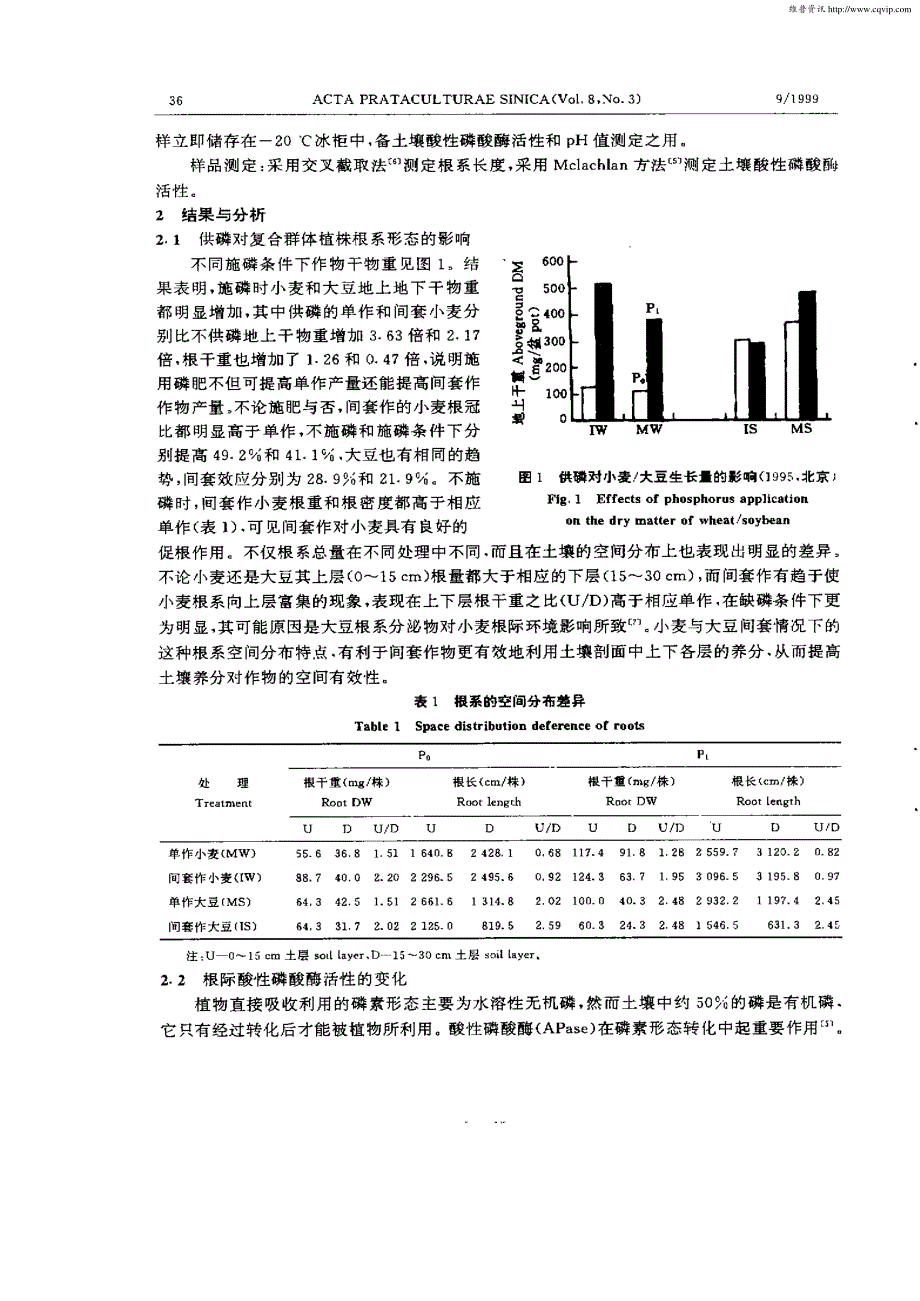 不同供磷水平下粮豆间套种植对根系分布和根际效应的影响_第2页