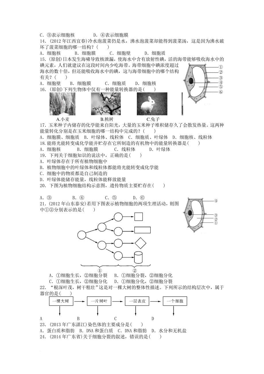 中考生物复习专题 1 我们周围的生物 2 人和动物的结构和功能基础知识练习及备考训练（无答案）_第5页