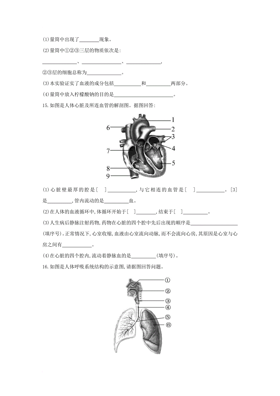 中考生物一轮教材达标 第4单元 第十章 人体内的物质运输和能量供给（含解析）_第4页