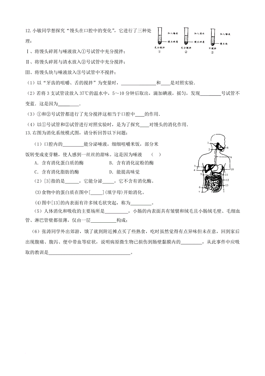 中考生物 专题训练 人体的营养_第3页