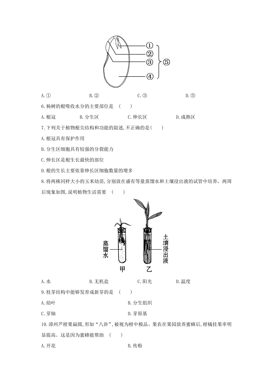 中考生物一轮教材达标 第3单元 第五章 绿色植物的一生（含解析）_第2页