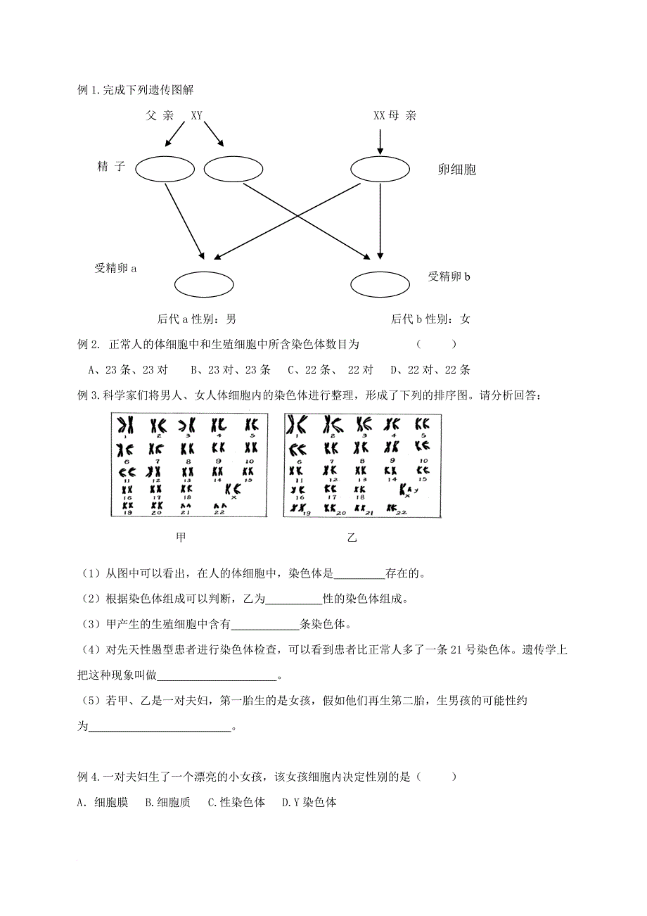 八年级生物下册 复习重点（无答案） 苏科版_第3页