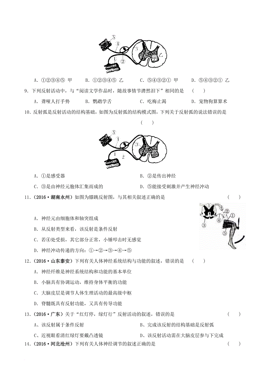 七年级生物下册 4_12_1 神经系统与神经调节练习 北师大版_第2页