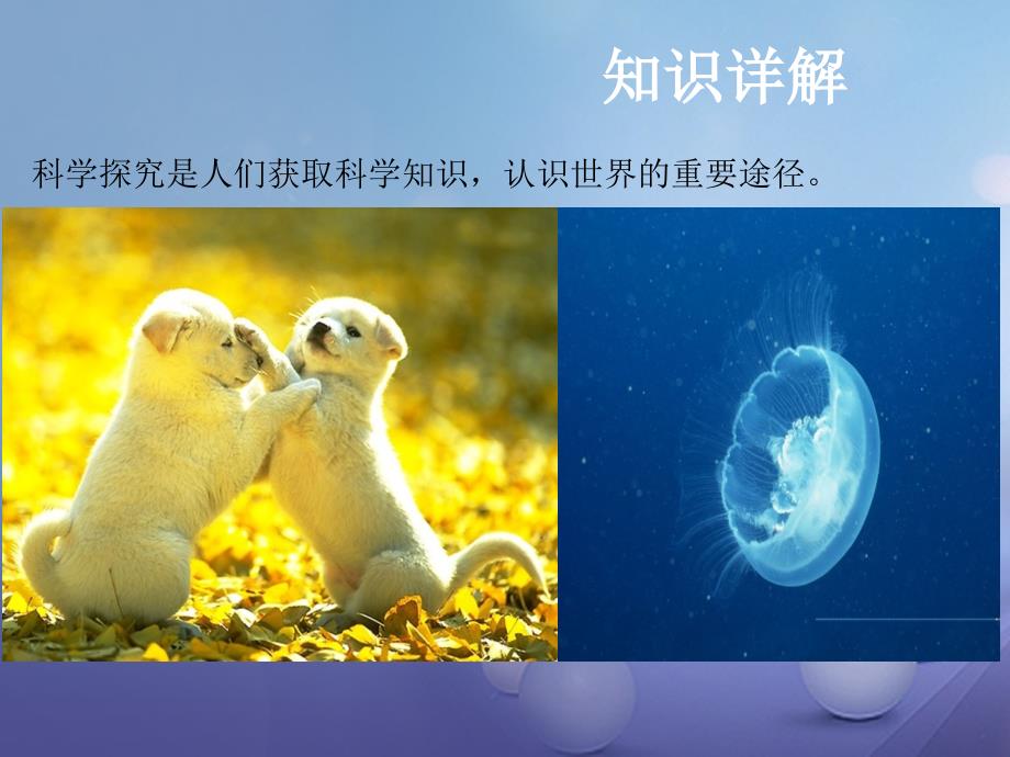 中考生物 第一单元 科学探究复习课件_第2页