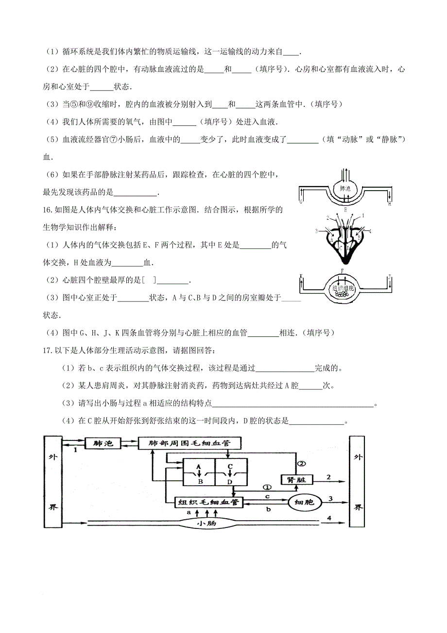 中考生物 专题训练 人体内物质的运输_第3页