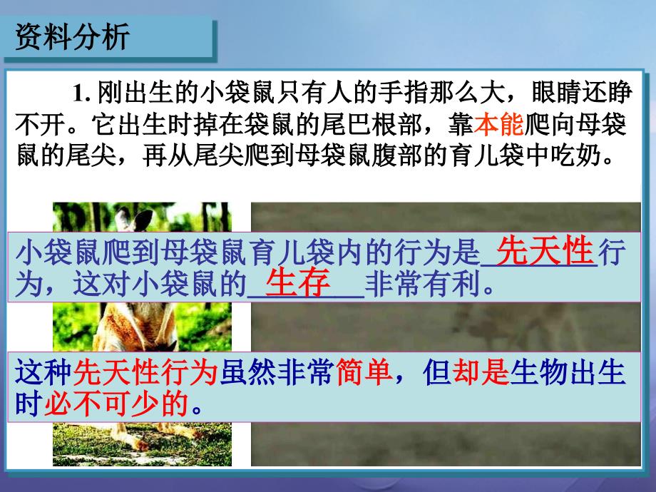 八年级生物上册 5_2_2 先天性行为和学习行为课件1 （新版）新人教版_第4页