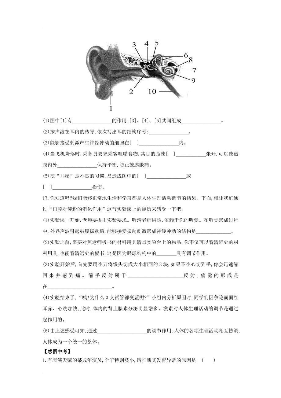 中考生物一轮教材达标 第4单元 第十二章 人体生命活动的调节（含解析）_第4页