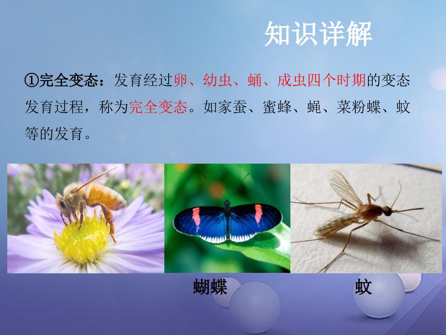 中考生物 第七章 第二节 动物的生殖和发育复习课件_第4页