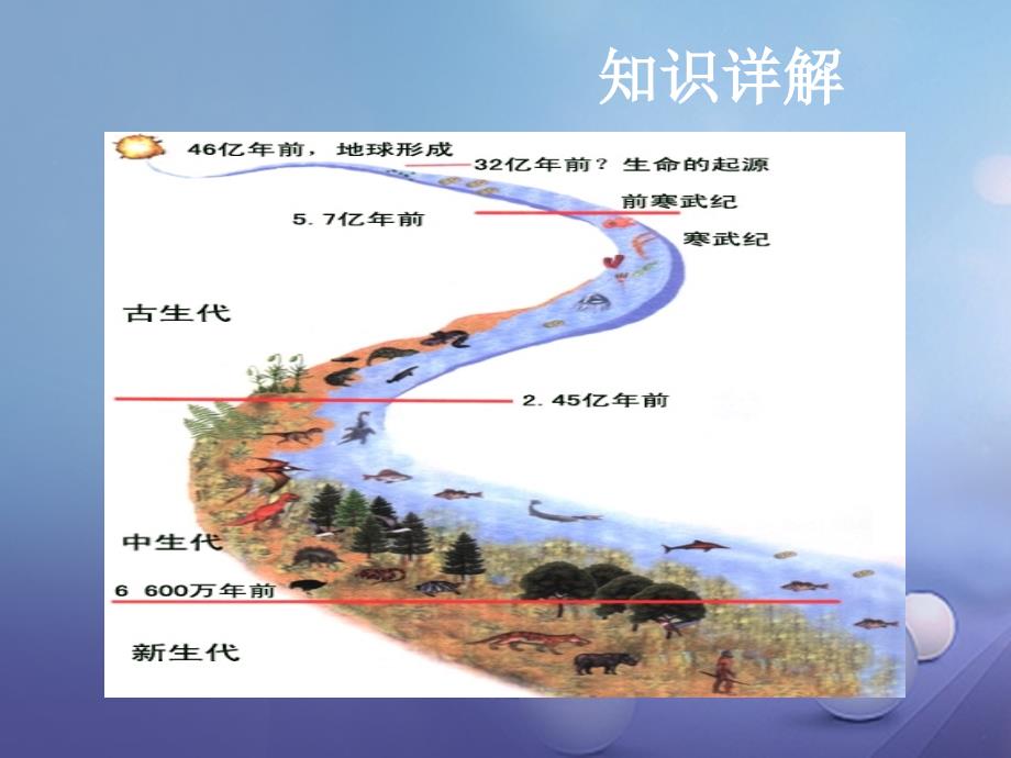 中考生物 第八章 第五节 生命的起源和生物进化复习课件_第3页