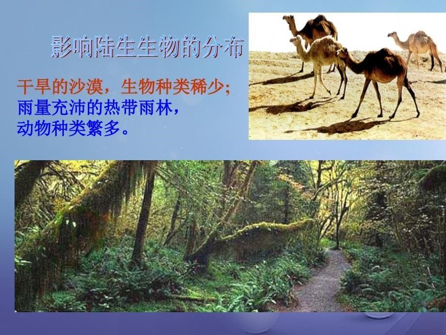 九年级科学下册2_1生物与环境的相互关系一生物与非生物因素之间的关系课件新版浙教版_第5页