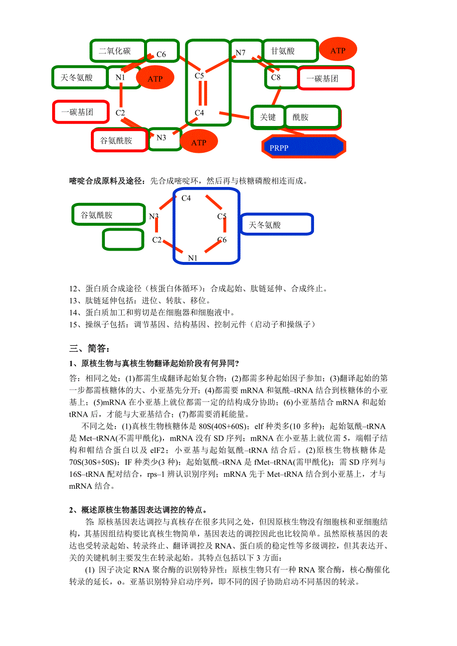 动物生物化学-期末复习资料-超准_第4页