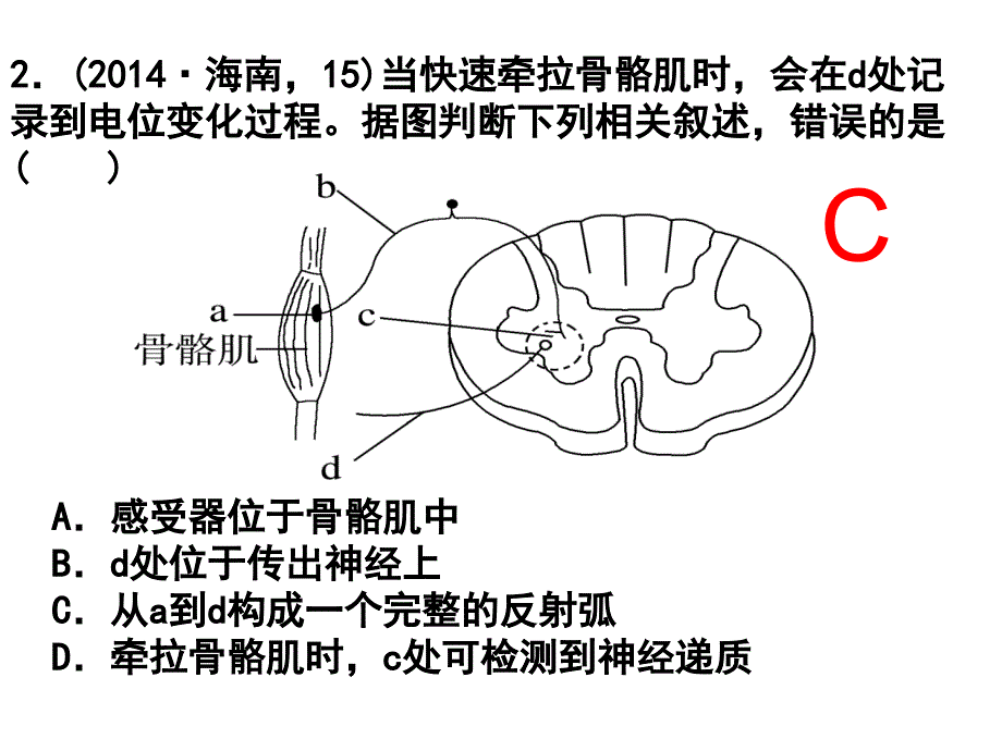 专题五神经调节和体液调节(高三二轮复习)_第4页