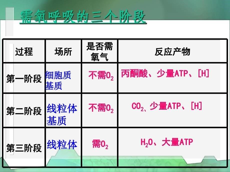 探究酵母菌的呼吸方式ppt_第5页