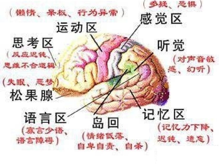 饮食与健康胃肠道疾病_第3页