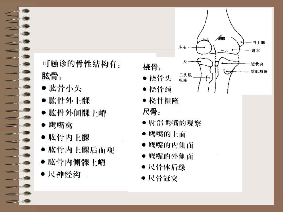 肘部解剖及相关生物力学ppt课件_第4页