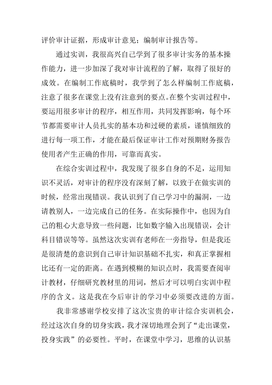 审计学实习报告_第3页