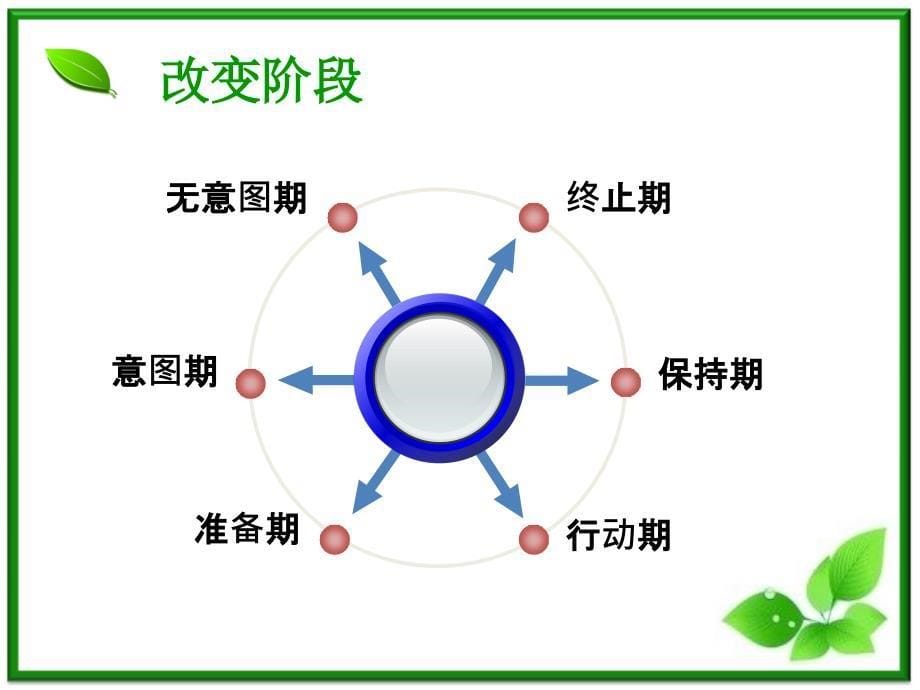 跨理论模式_第5页