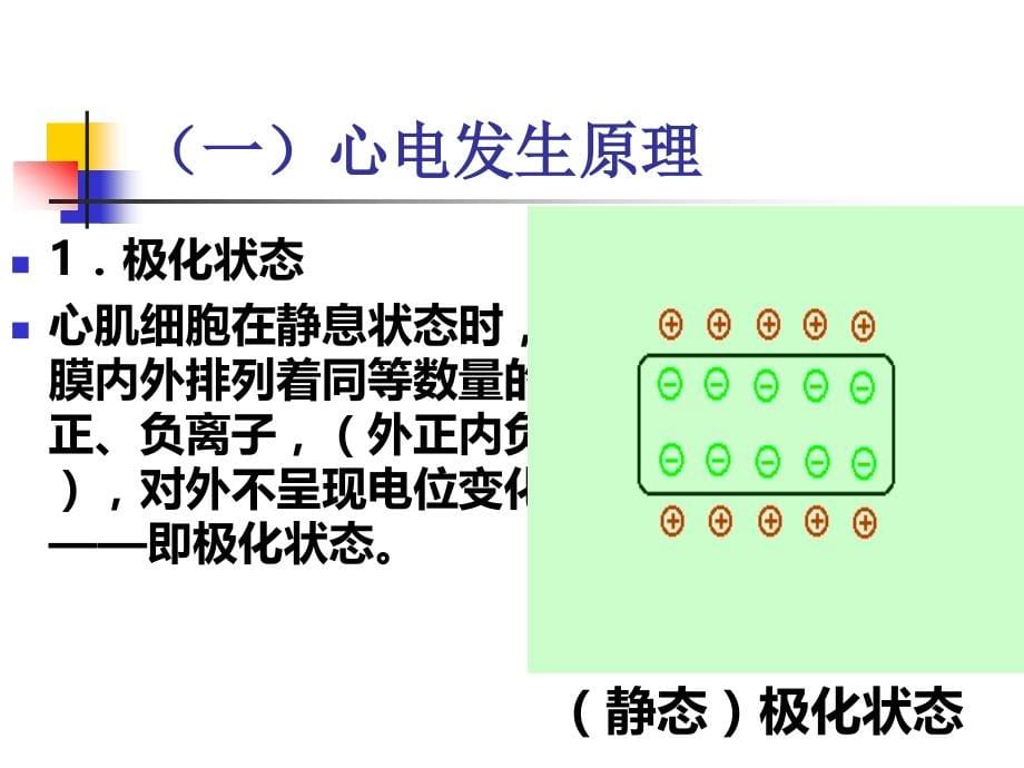 第八章健康评估心电图检查_第5页