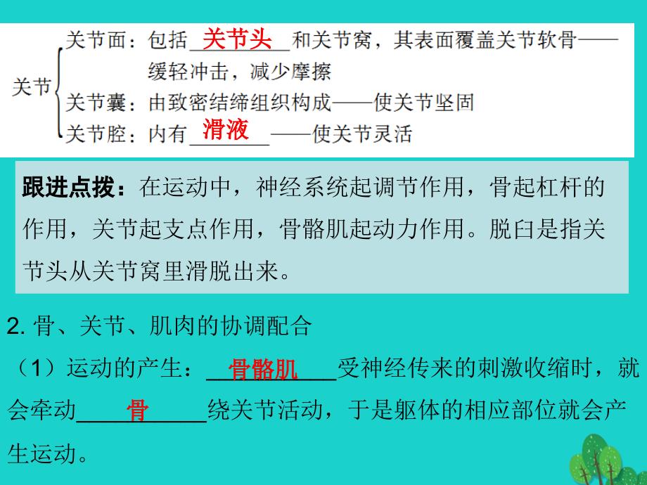 中考生物第一轮系统复习-第5单元  生物圈中的其他生物 第2 3章-动物的运动和行为_第3页