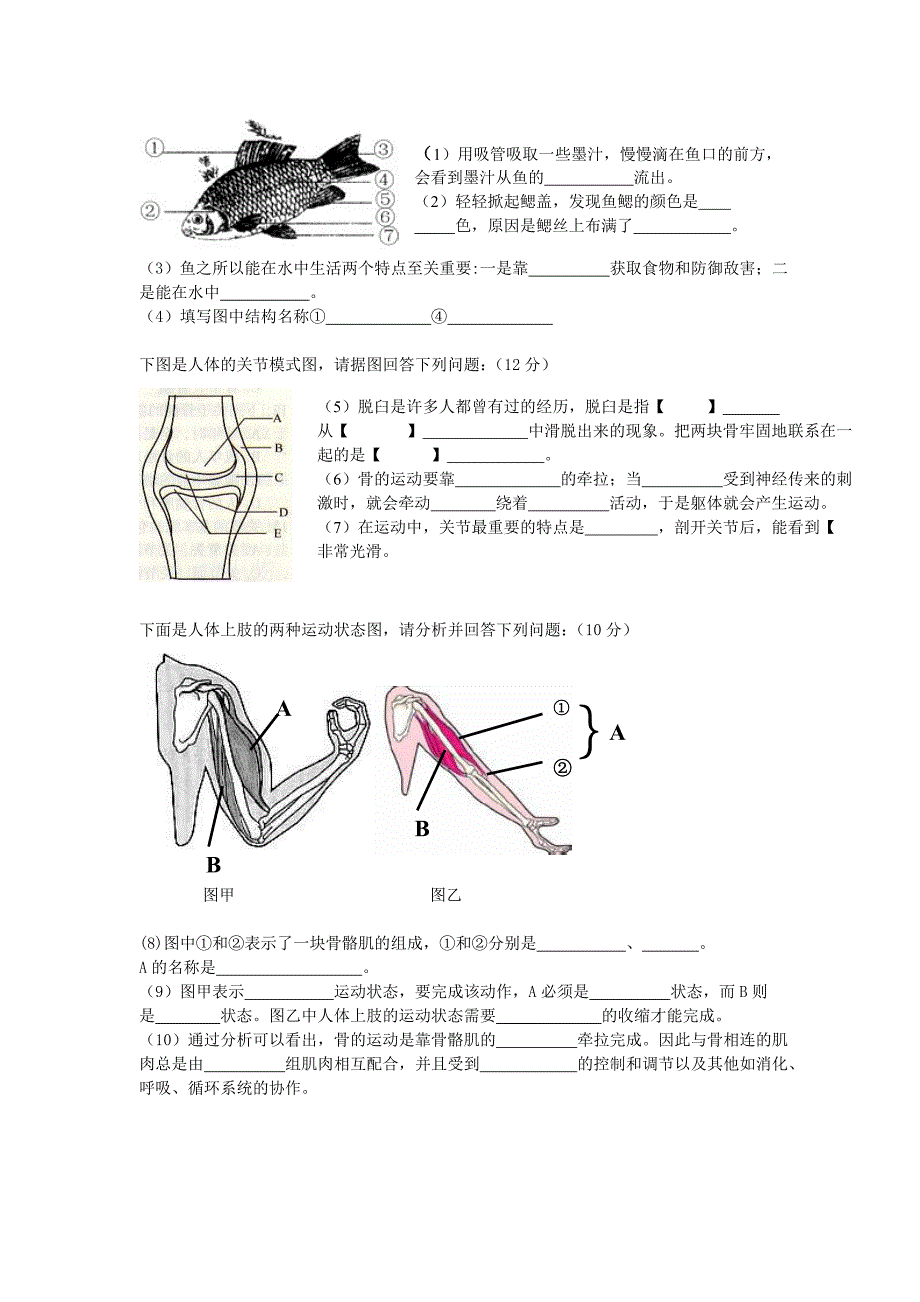 人教版新课标八年级上册生物期中试题(含答案)3_第4页