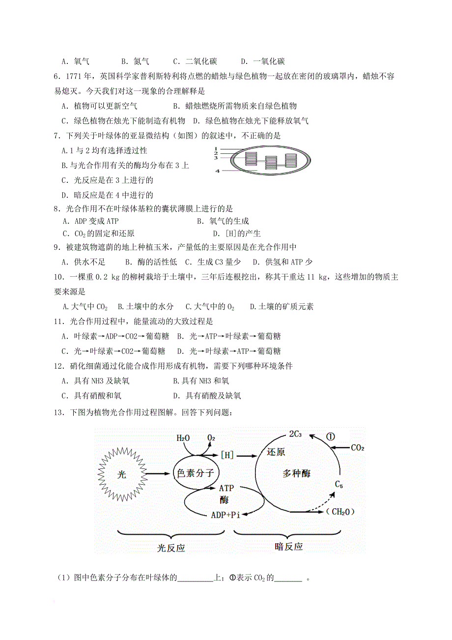 高中生物 5_4 能量之源----光与光合作用学案（无答案）新人教版必修1_第4页