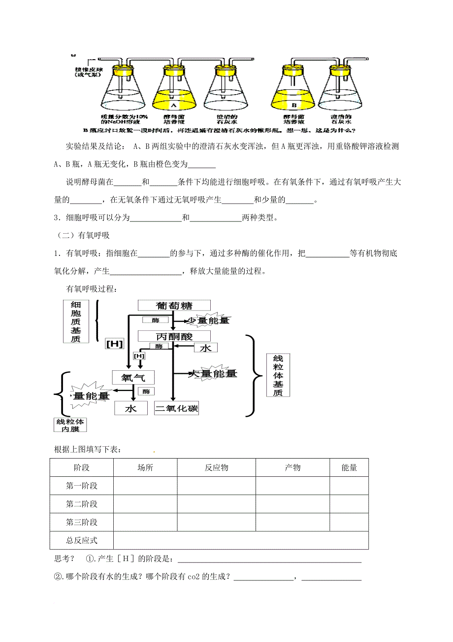 高中生物 细胞的代谢复习学案1（无答案）新人教版选修_第2页