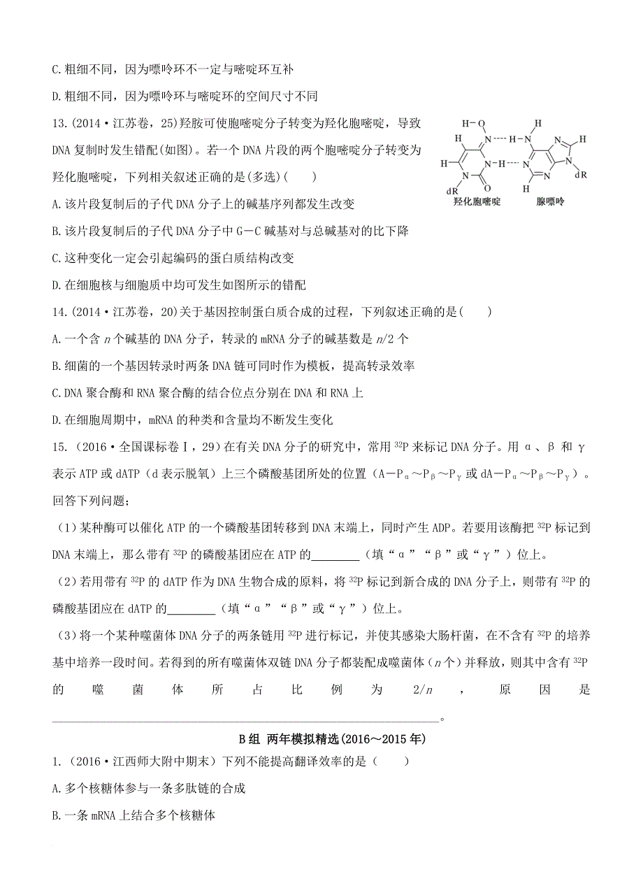 高考生物冲刺复习 专题九 遗传的分子基础_第4页