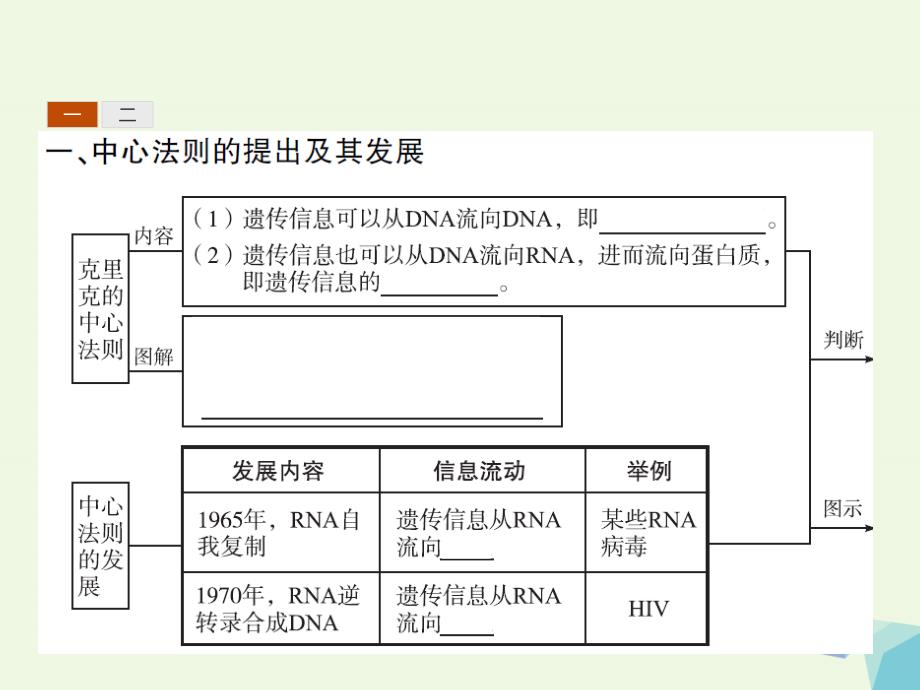 高中生物4_2基因对性状的控制课件新人教版必修2_第3页