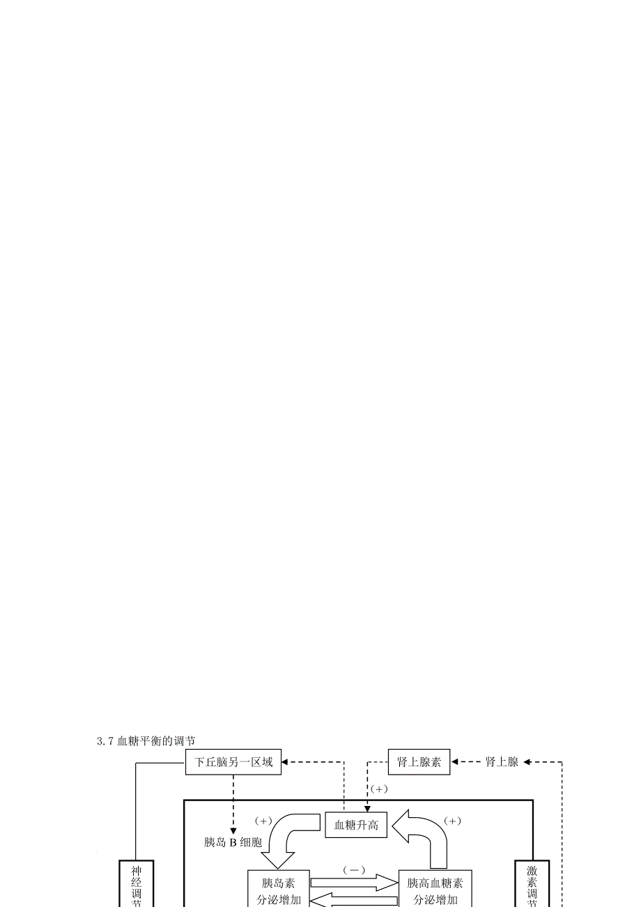 高中生物 第一单元 生命活动的的调节（图表）重点知识详解 新人教版必修_第4页