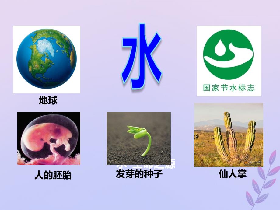 2018-2019学年高中生物 专题08 细胞中的无机物同步课件 新人教版必修1_第3页