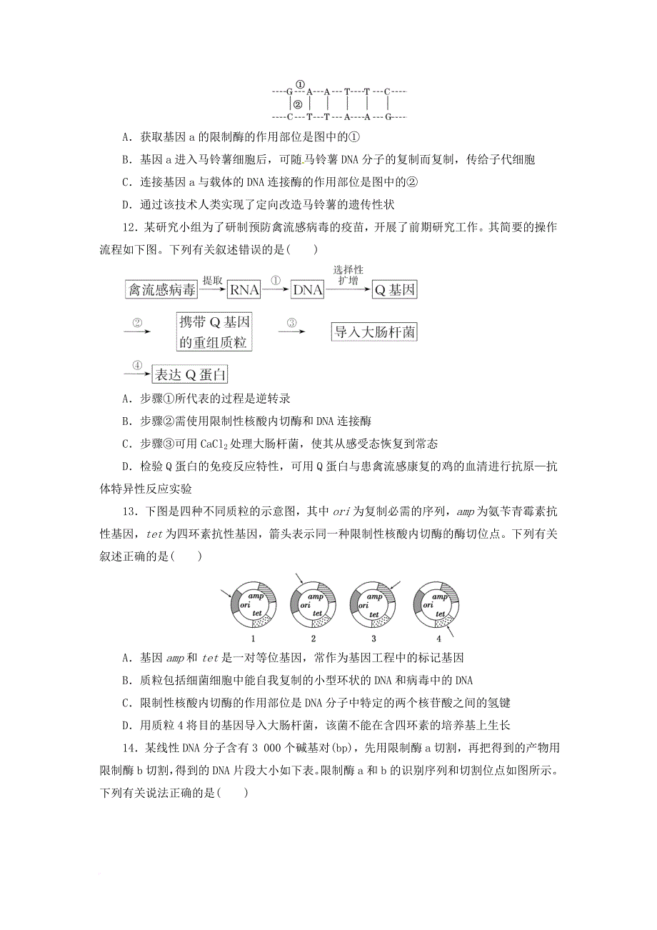 高中生物 基因工程试题 新人教版选修_第3页