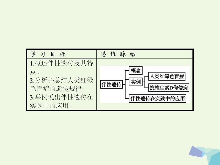 高中生物 2_3 伴性遗传课件 新人教版必修2_第2页