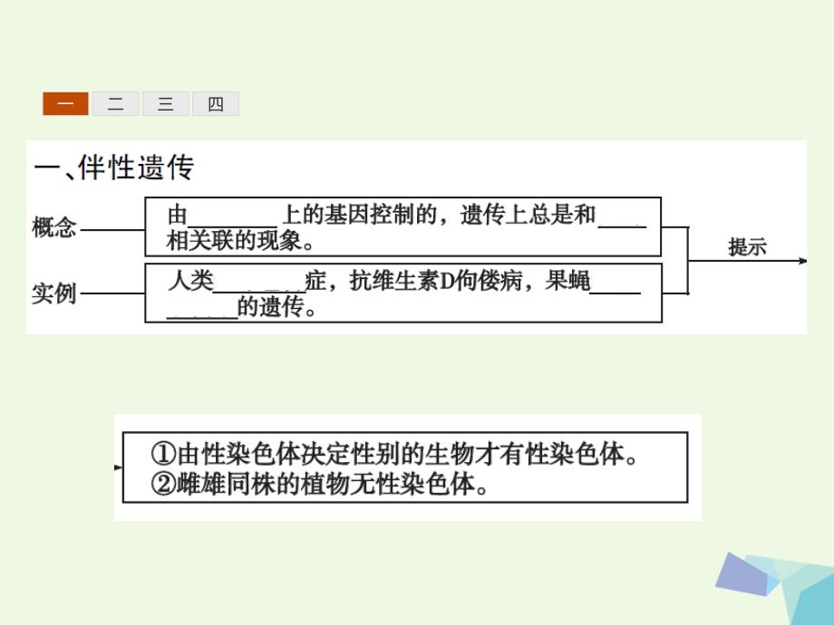 高中生物 2_3 伴性遗传课件 新人教版必修2_第3页