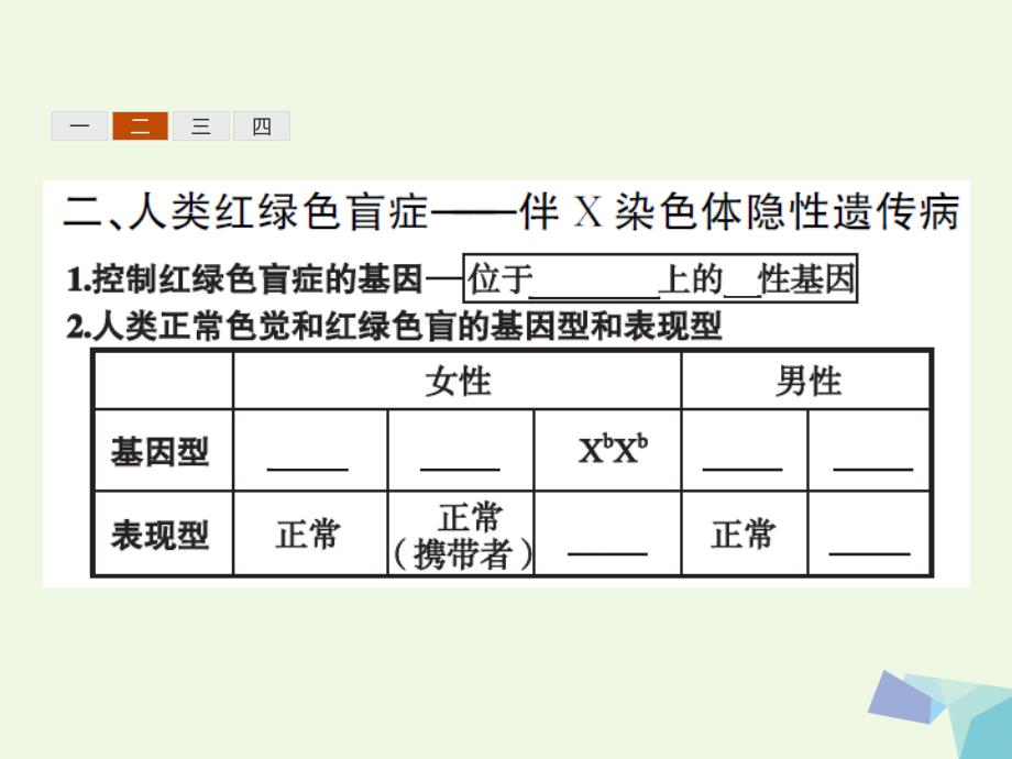 高中生物 2_3 伴性遗传课件 新人教版必修2_第4页