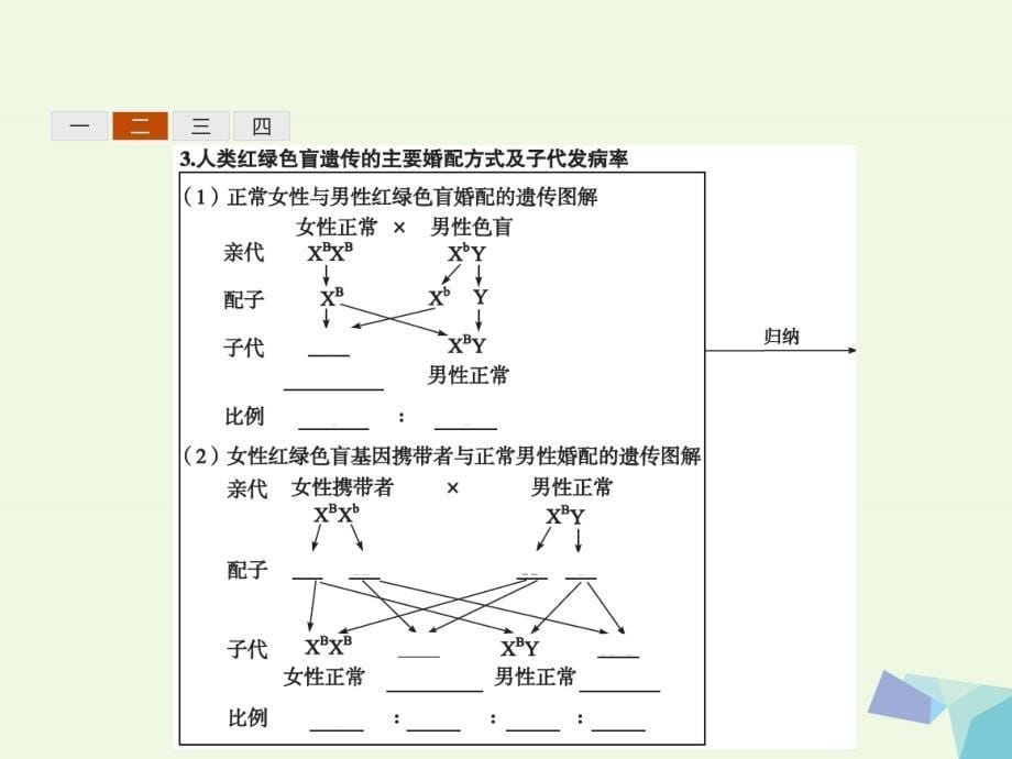 高中生物 2_3 伴性遗传课件 新人教版必修2_第5页