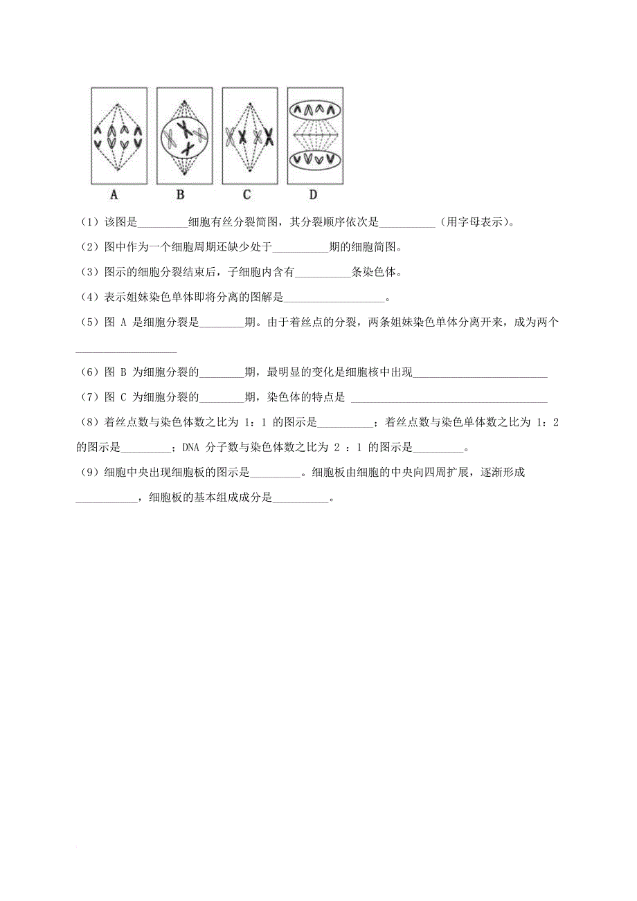 高中生物 第六章 细胞的生命历程 6_1 细胞增殖导学案（无答案）新人教版必修1_第4页